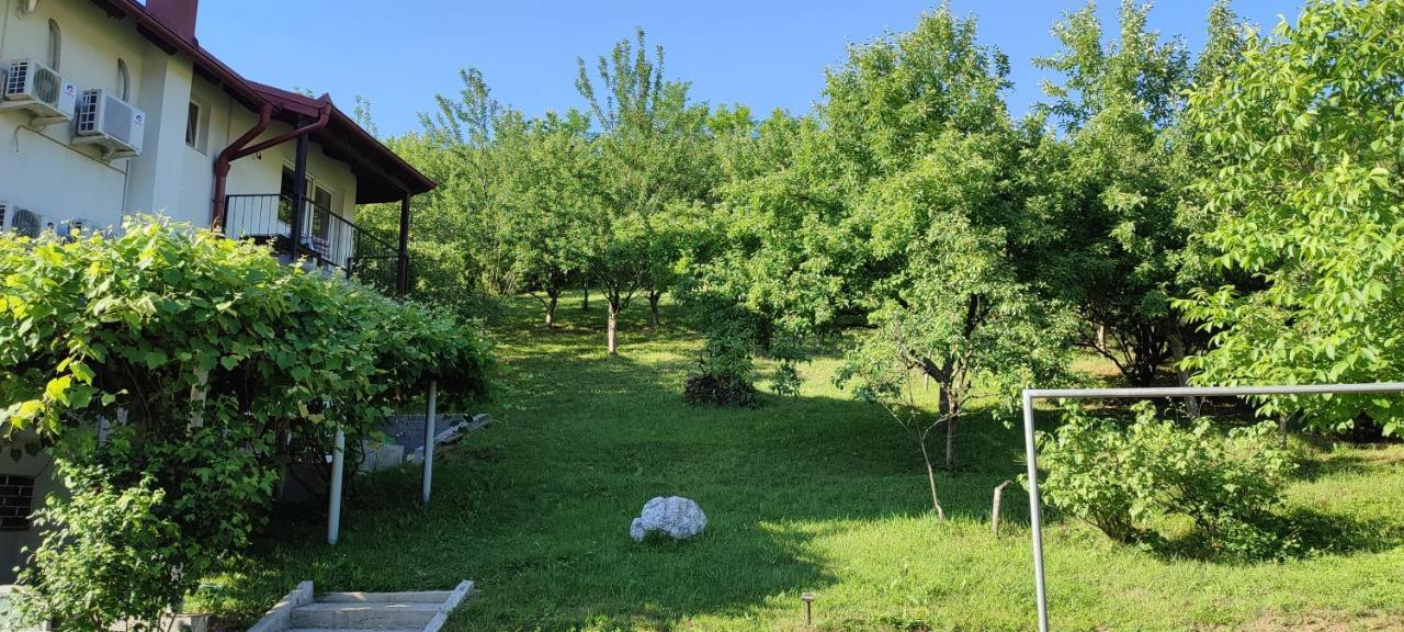 Villa Greenfield Sarajewo Zewnętrze zdjęcie